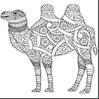 Coloriage antistress pour adultes ou enfants à imprimer, un chameau