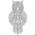 Coloriage pour adultes ou enfants à imprimer, un hibou.