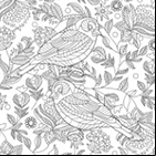 Dessin antistress à colorier, des oiseaux