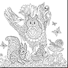 Dessin à colorier, les animaux de la forêt, écureuil, hibou, escargot