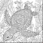 Coloriage antistress pour adultes ou enfants à imprimer, une tortue marine