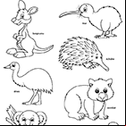 Page de coloriages à imprimer, les animaux d'Australie