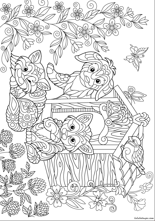 Coloriage pour adultes, un chien devant sa niche et des chats