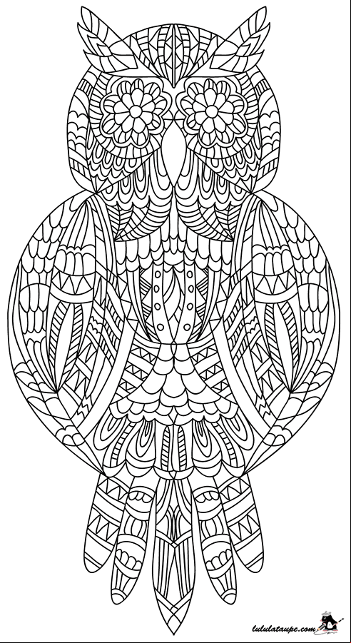 Dessin à colorier, un hibou abstrait
