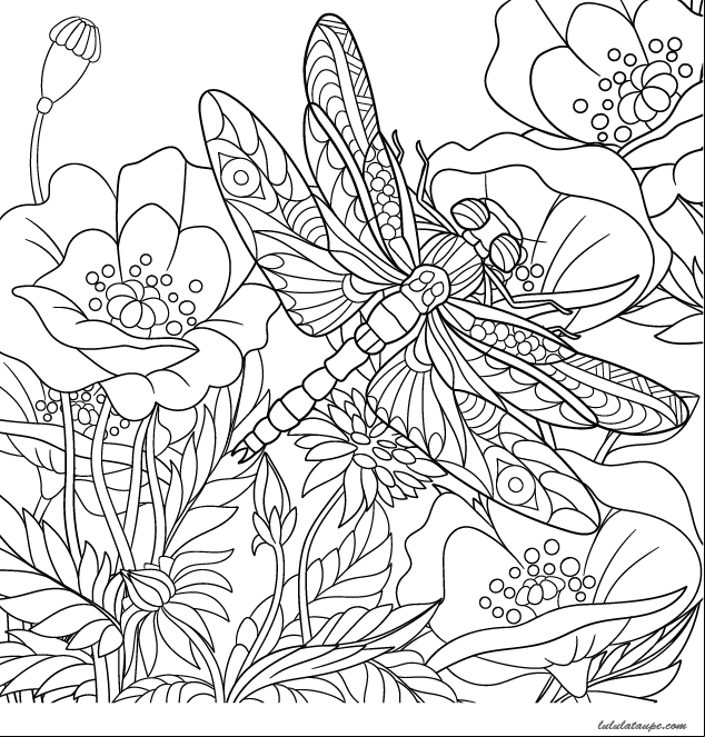 Dessin à colorier pour adultes, une libellule et des fleurs de pavots