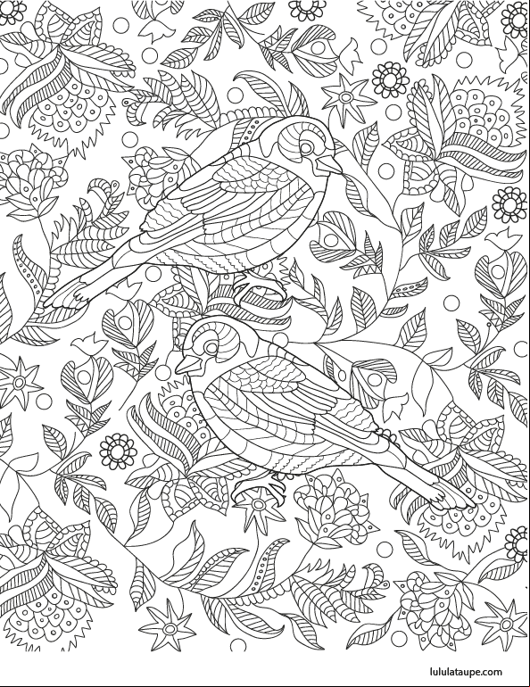 Coloriage antistress, des oiseaux et des fleurs