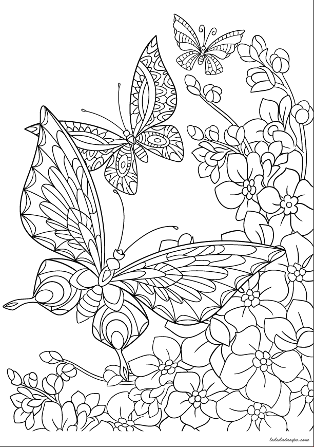 Dessin antistress à colorier, des papillons et des fleurs