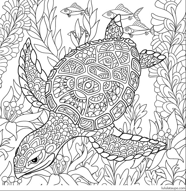 Dessin abstrait en noir et blanc pour adultes ou enfants, une tortue marine