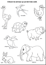 Exercice ludique à imprimer, les animaux qui pondent des œufs