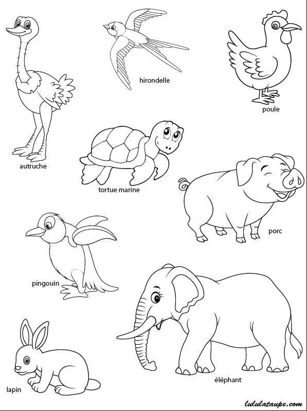 Les animaux ovipares, jeu éducatif pour enfants de 4 ans et plus
