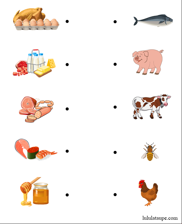D'où proviennent les aliments, jeu éducatif pour enfants de 5 ans et plus