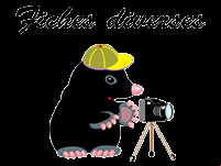 Fiches pédagogiques à imprimer